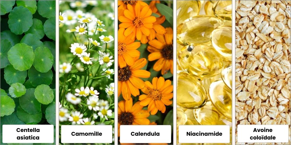 Cinq actifs apaisants naturels en cosmétique : feuilles de Centella asiatica, fleurs de camomille, fleurs de calendula, capsules dorées de niacinamide et flocons d'avoine colloïdale alignés en colonnes